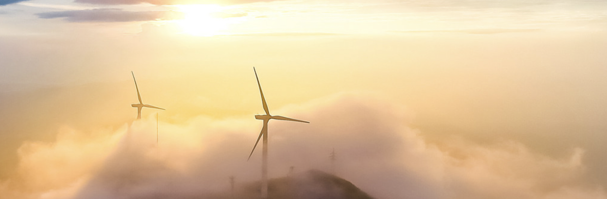 bbin��ӯ���������й��ܽ�����˾��������Ա������С�ǡ�����������������ҵ������+����������